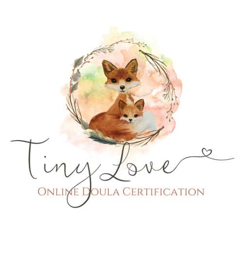 Tiny Love Doula Training