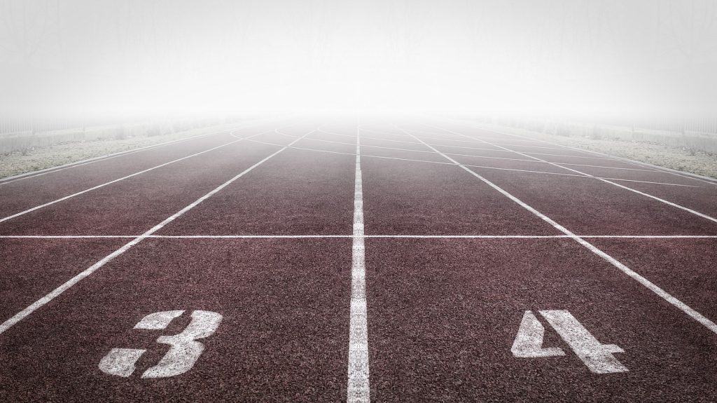 SEO Optimization