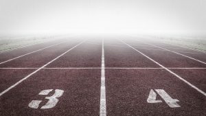 SEO Optimization
